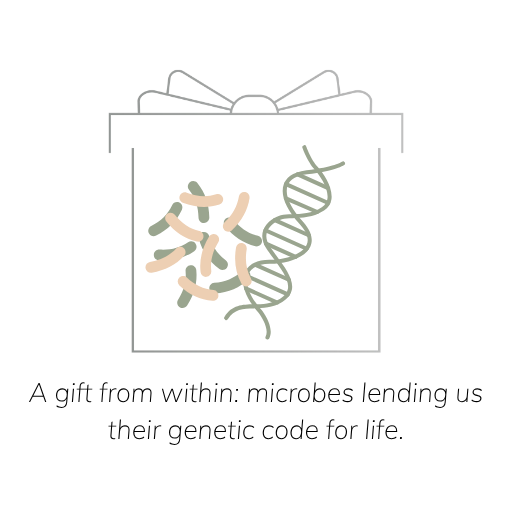 Illustration of a gift box opening to reveal a DNA helix inside, symbolizing the beneficial genes shared by gut microbes.