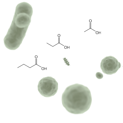 Chemical structures of butyrate, acetate, and propionate overlaid on an illustration of gut bacteria, representing short-chain fatty acid production in the gut microbiome