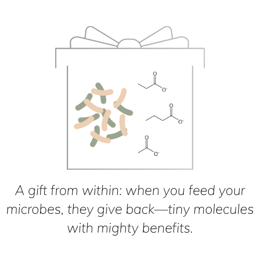 Illustration of a gift box filled with colorful microbes and short-chain fatty acids, symbolizing the benefits our gut microbes provide.