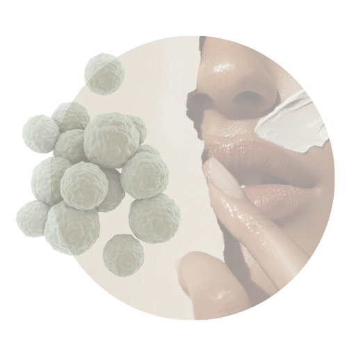 Split image of a woman's face with face cream and gut bacteria, symbolizing the gut-skin axis