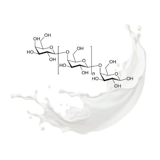 Chemical structure of galactooligosaccharides (GOS) over a splash of milk, representing its origin from lactose and prebiotic function.