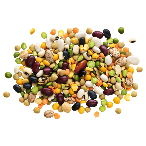 Close-up of mixed legumes, natural sources of alpha-galactooligosaccharides (α-GOS).